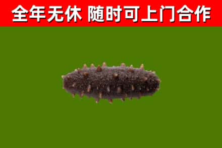 湘阴烟酒回收干海参.jpg